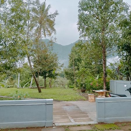 Jepun Homestay Lemukih 新加拉惹 外观 照片