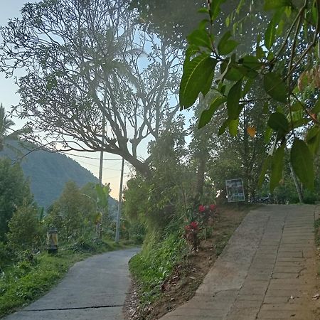 Jepun Homestay Lemukih 新加拉惹 外观 照片
