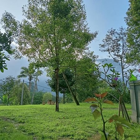Jepun Homestay Lemukih 新加拉惹 外观 照片