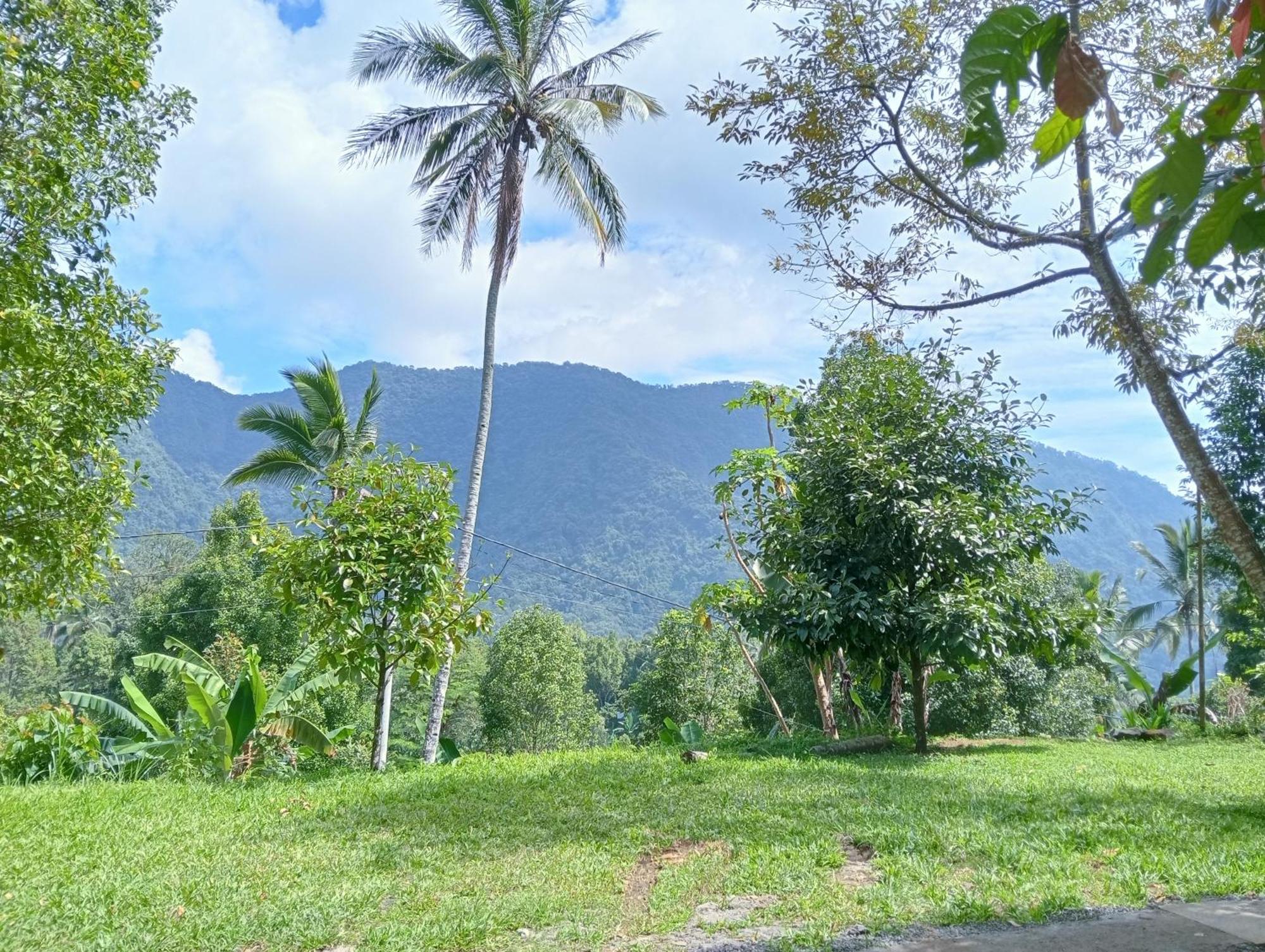Jepun Homestay Lemukih 新加拉惹 外观 照片