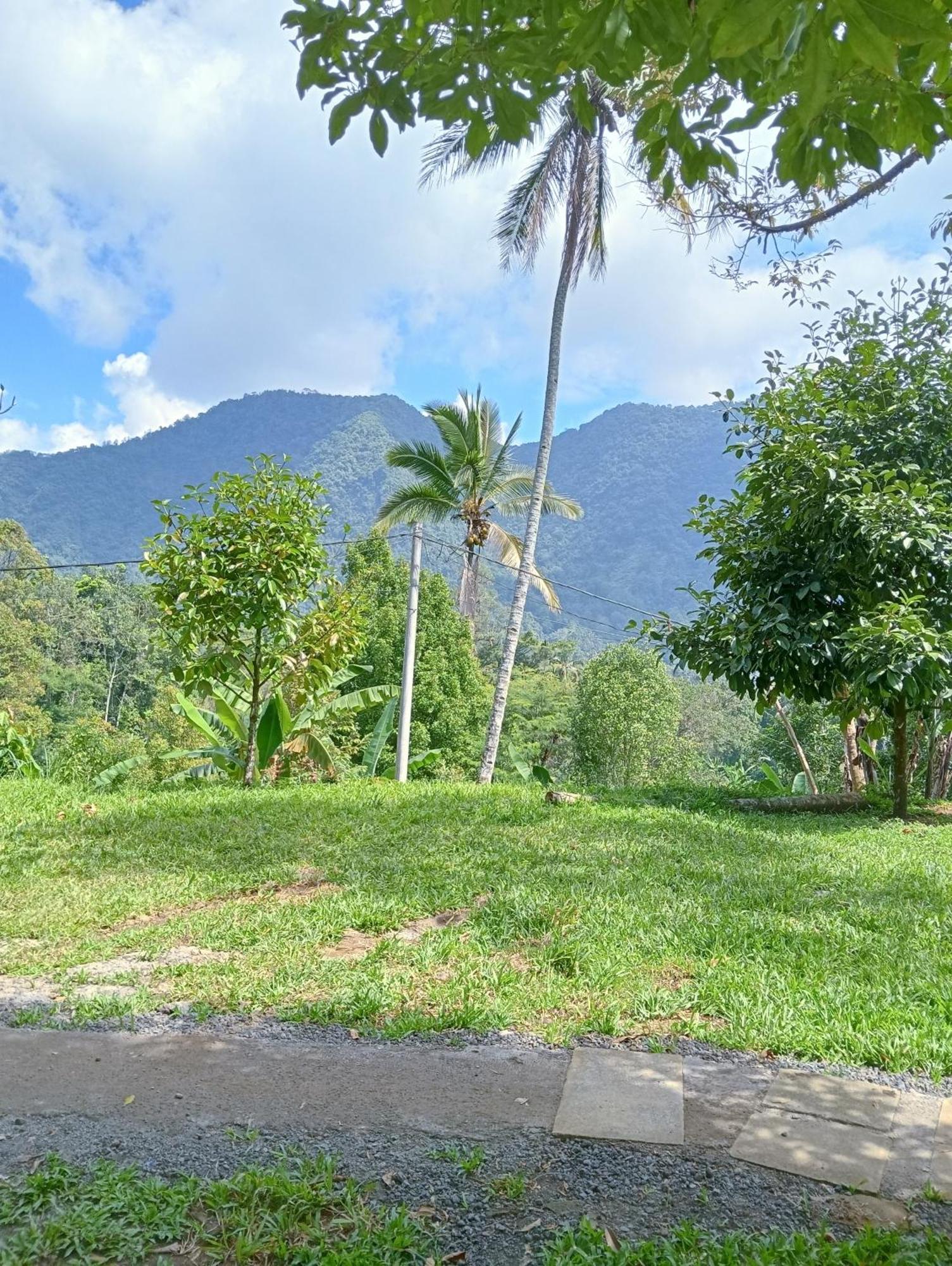 Jepun Homestay Lemukih 新加拉惹 外观 照片