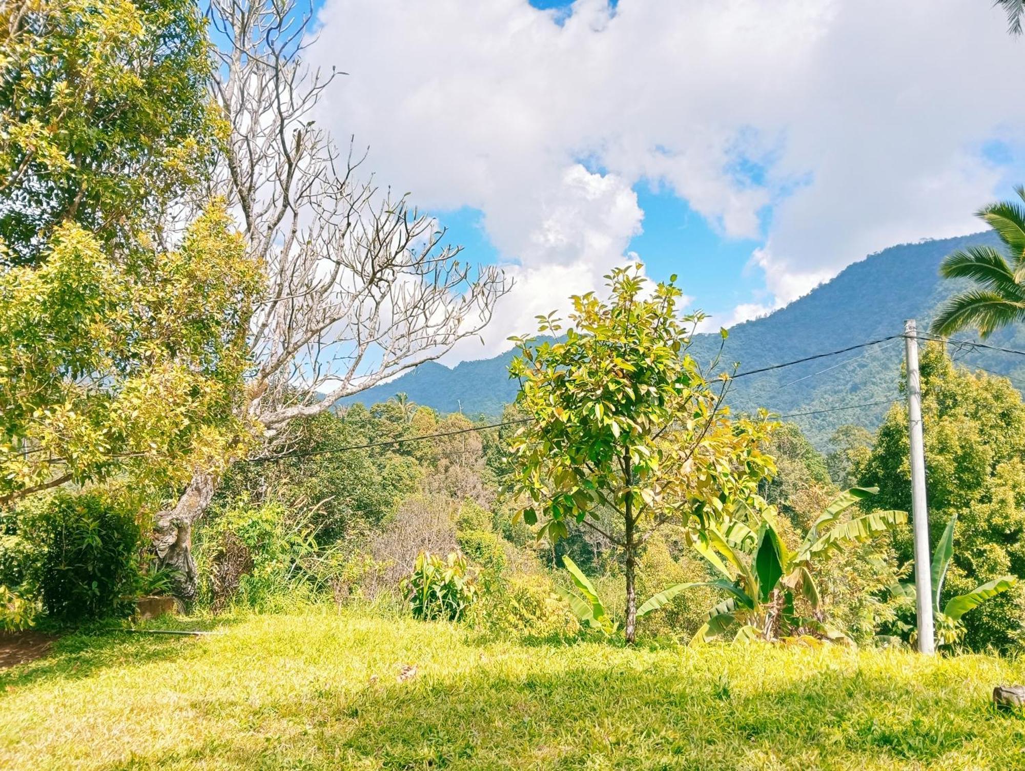 Jepun Homestay Lemukih 新加拉惹 外观 照片