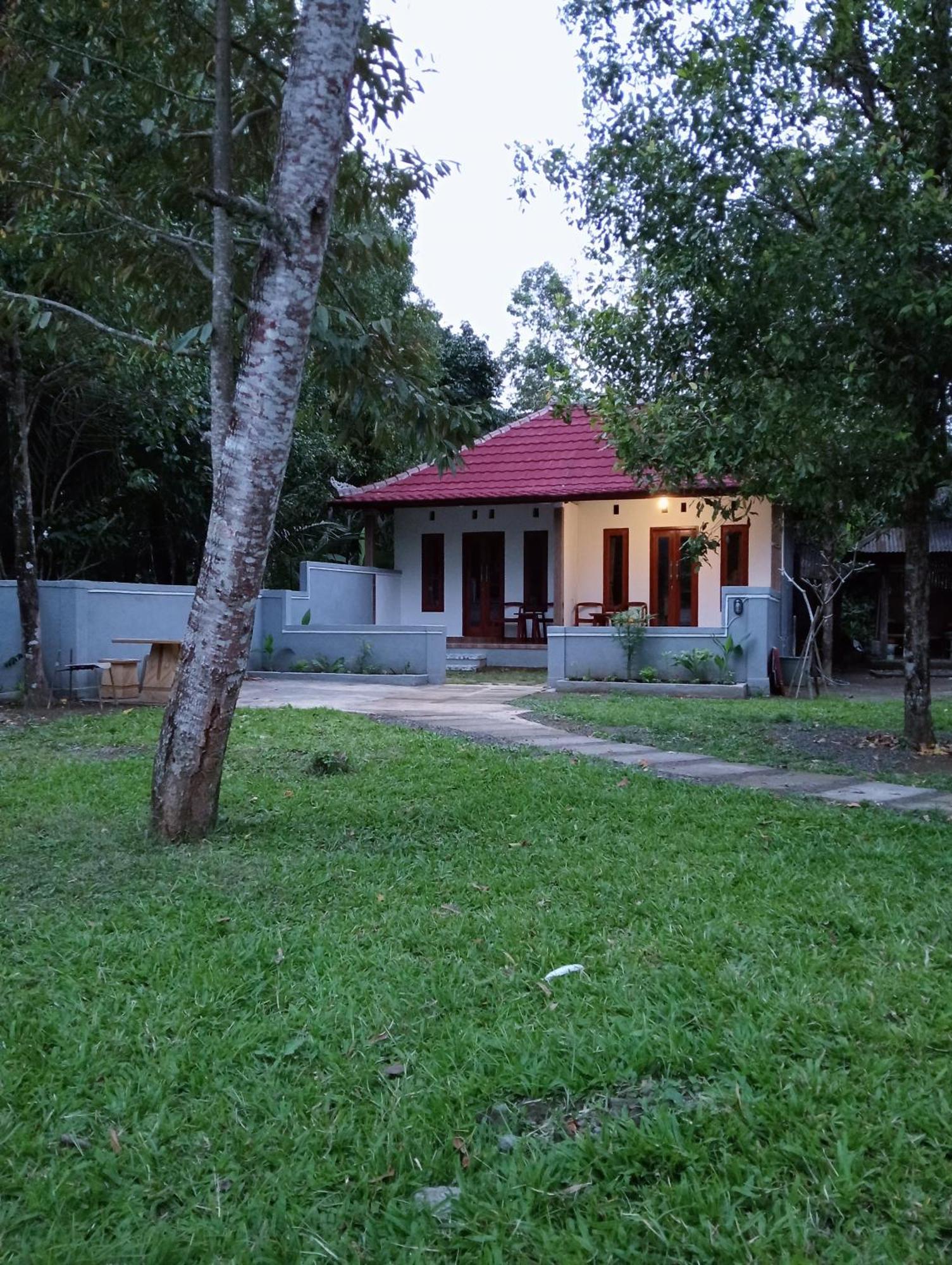 Jepun Homestay Lemukih 新加拉惹 外观 照片