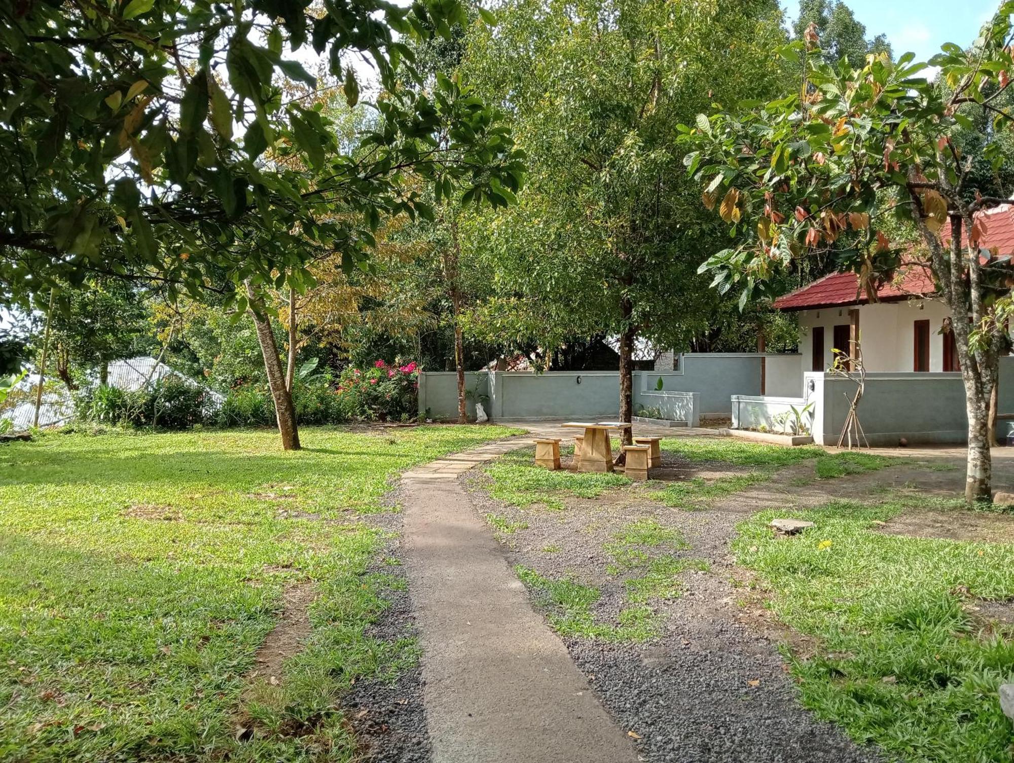 Jepun Homestay Lemukih 新加拉惹 外观 照片
