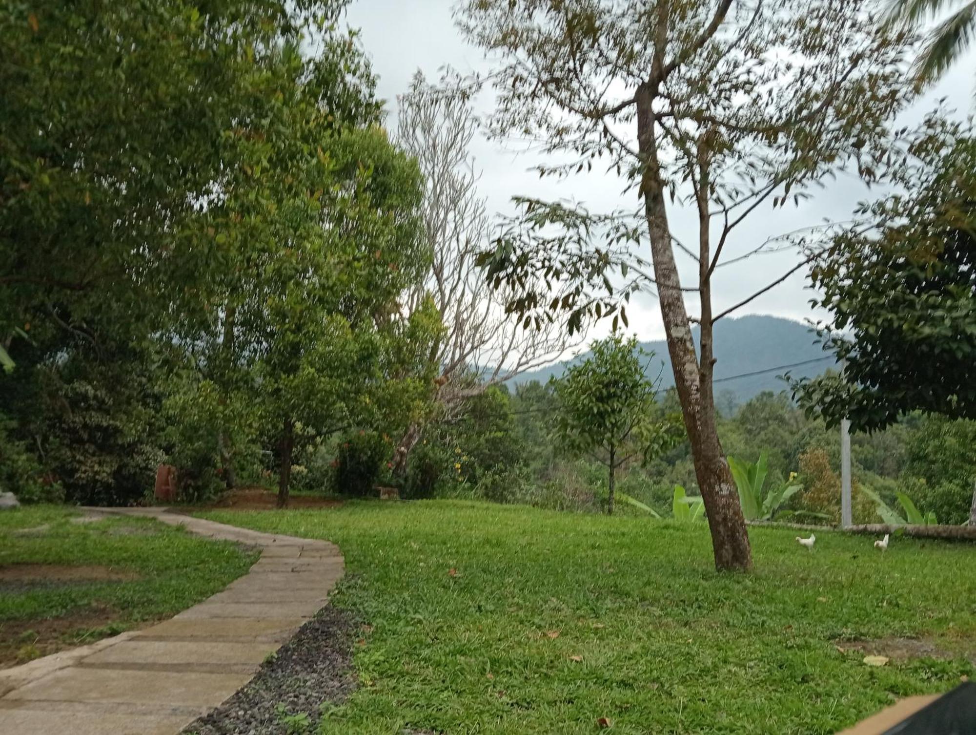Jepun Homestay Lemukih 新加拉惹 外观 照片