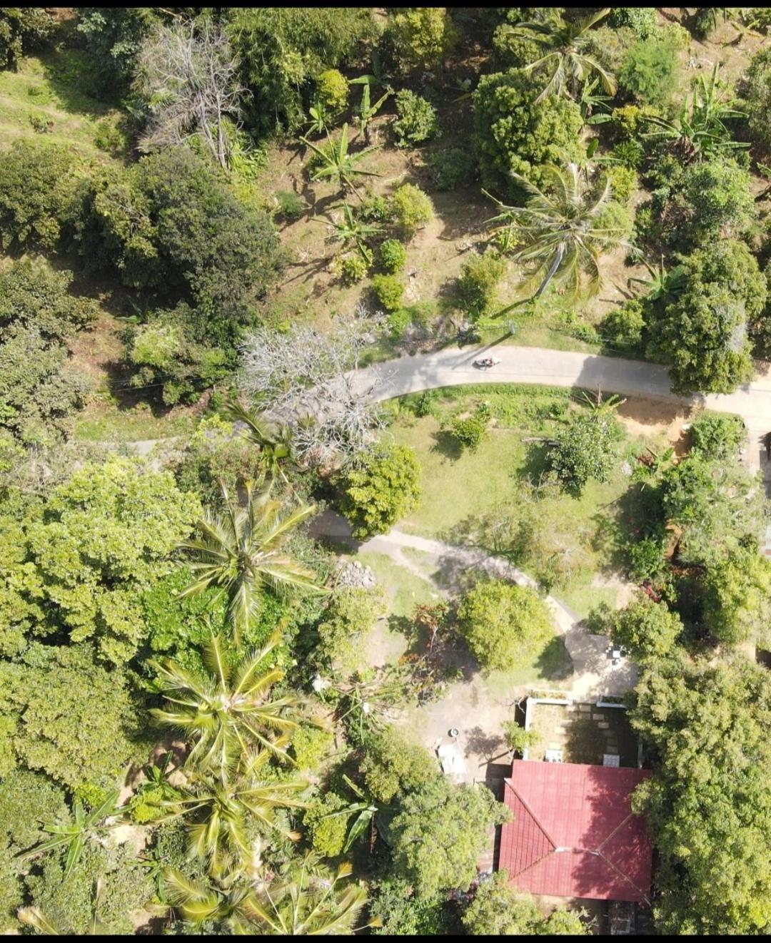 Jepun Homestay Lemukih 新加拉惹 外观 照片