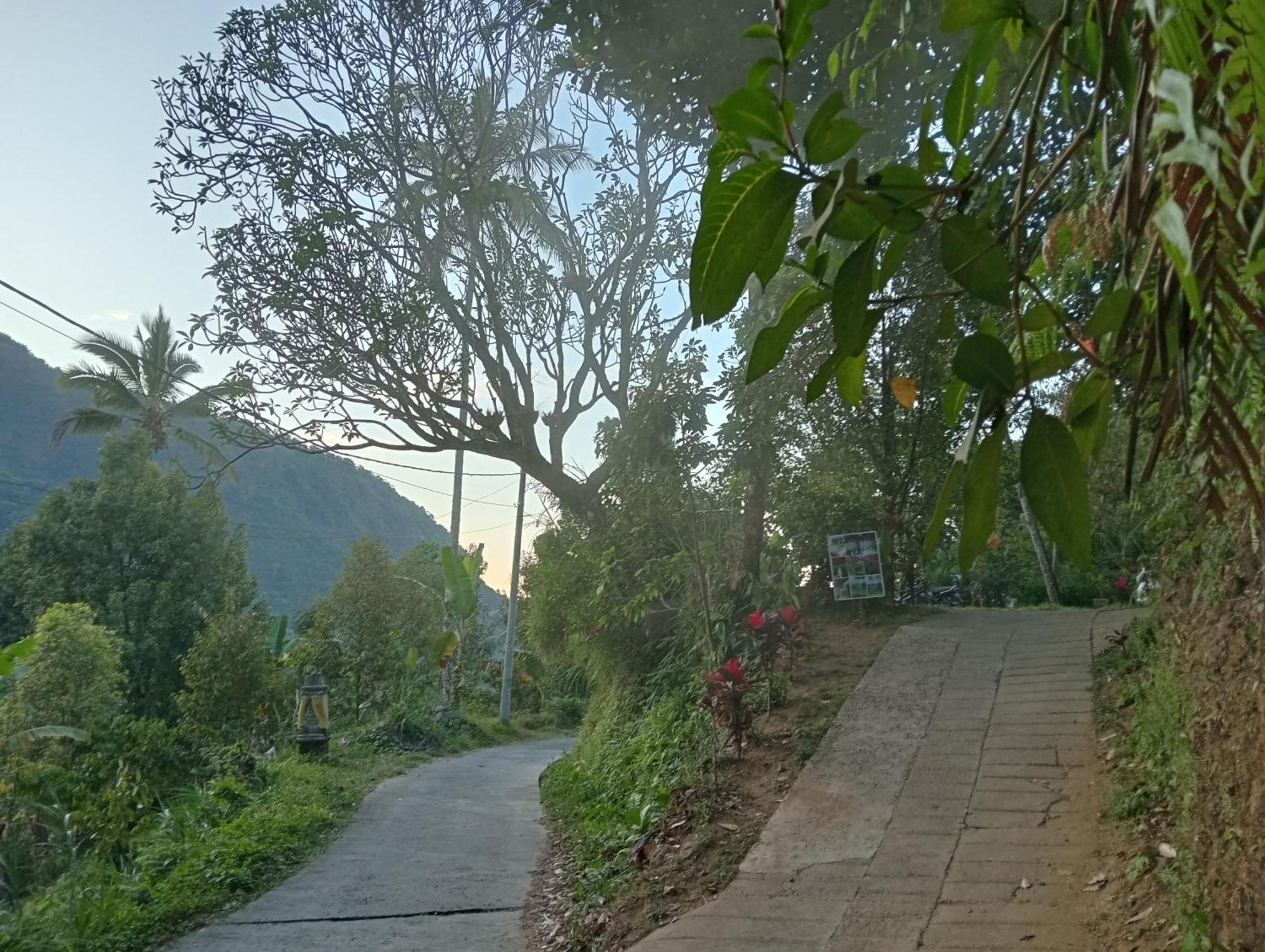 Jepun Homestay Lemukih 新加拉惹 外观 照片