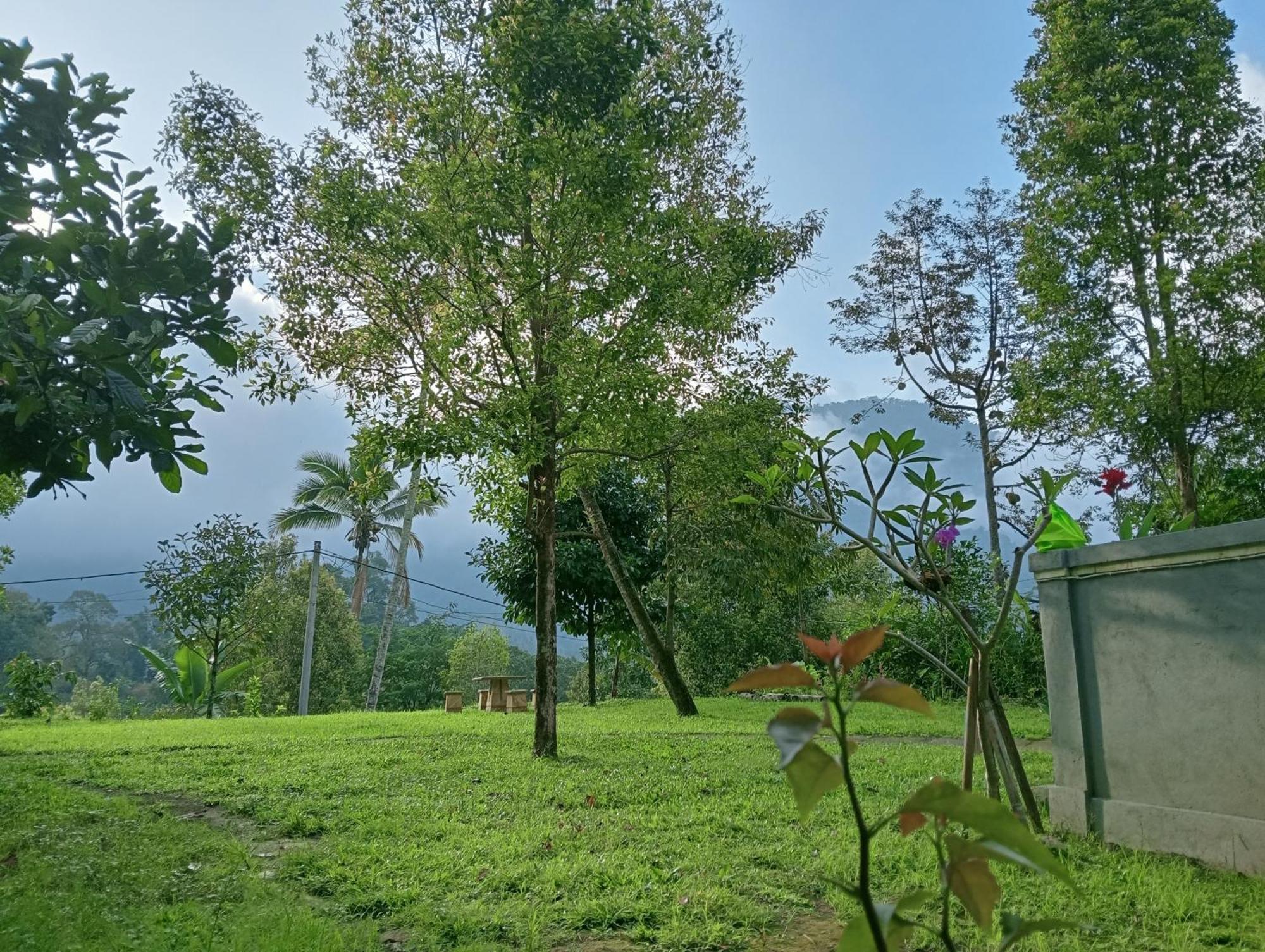 Jepun Homestay Lemukih 新加拉惹 外观 照片