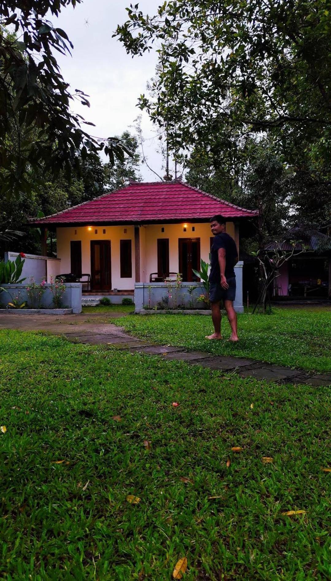 Jepun Homestay Lemukih 新加拉惹 外观 照片