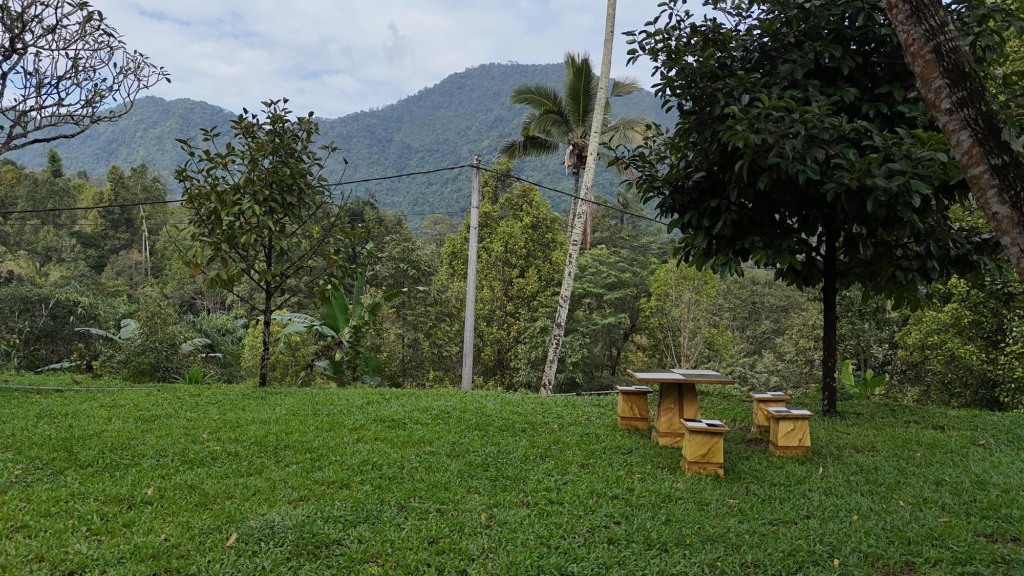 Jepun Homestay Lemukih 新加拉惹 外观 照片
