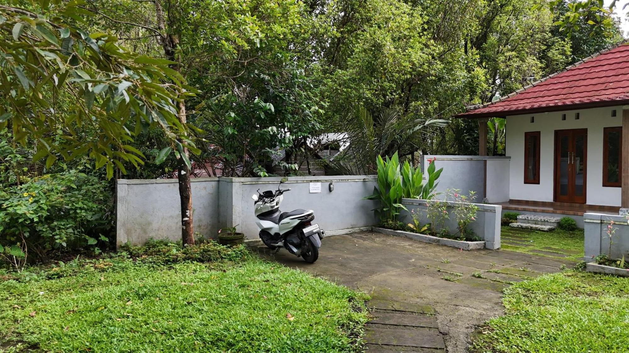 Jepun Homestay Lemukih 新加拉惹 外观 照片